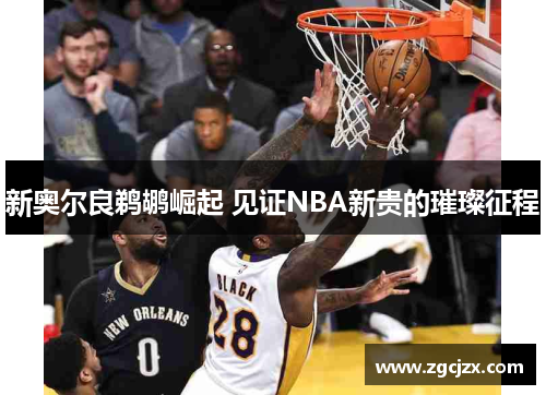 新奥尔良鹈鹕崛起 见证NBA新贵的璀璨征程