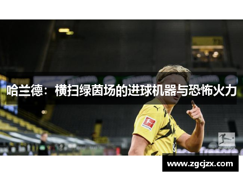 哈兰德：横扫绿茵场的进球机器与恐怖火力