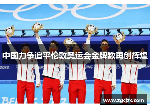 中国力争追平伦敦奥运会金牌数再创辉煌